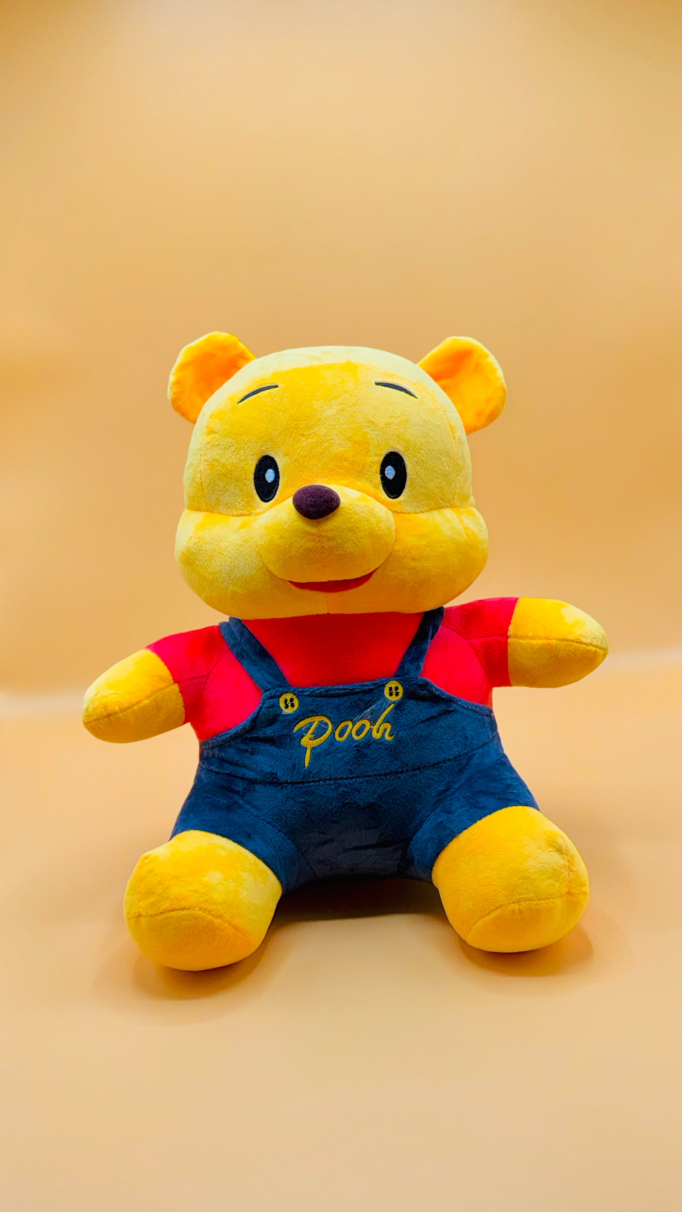 Pooh Bear Plush Toy